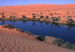 Sahara-Ost: Libyen - Oase mit Sanddnen